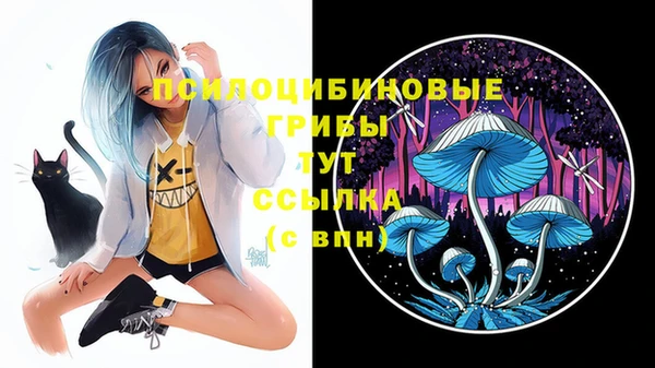 МДПВ Бронницы