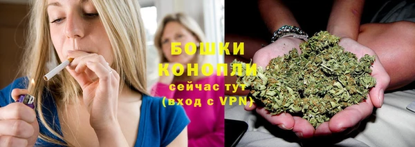 МДПВ Бронницы